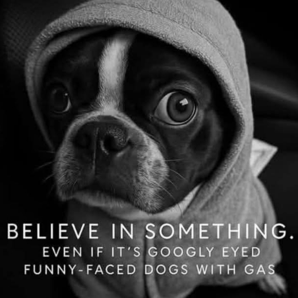 Meet your Posher, Bryce - Picture 1 of 1